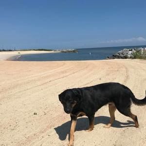 Meet your Posher, Richard